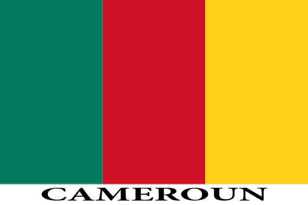 Drapeau du Cameroun